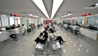 打造誠信社會 服務(wù)經(jīng)濟發(fā)展