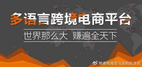 跨境電商培訓,亞馬遜培訓,亞馬遜erp系統(tǒng)貼牌定制